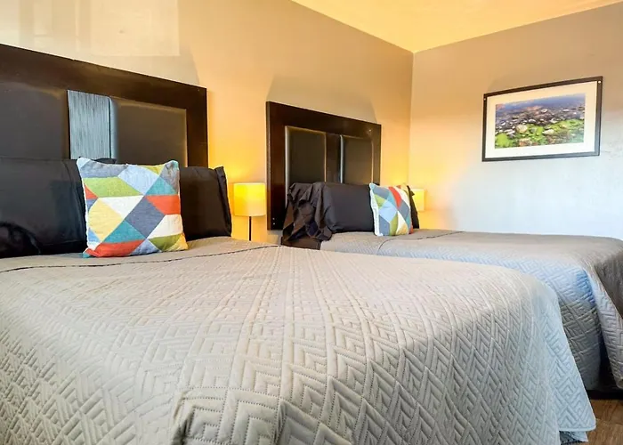 Apartment Downtown Area 2 Beds Sofa Bed Sleep 6 Stylish *